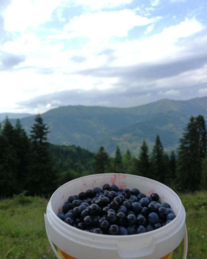 Eco Village Jasavic Plav Esterno foto